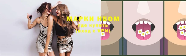 СК Верхний Тагил
