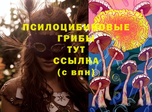 СК Верхний Тагил