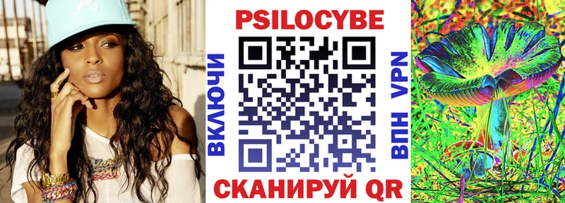 Псилоцибиновые грибы Psilocybe  Брянск 